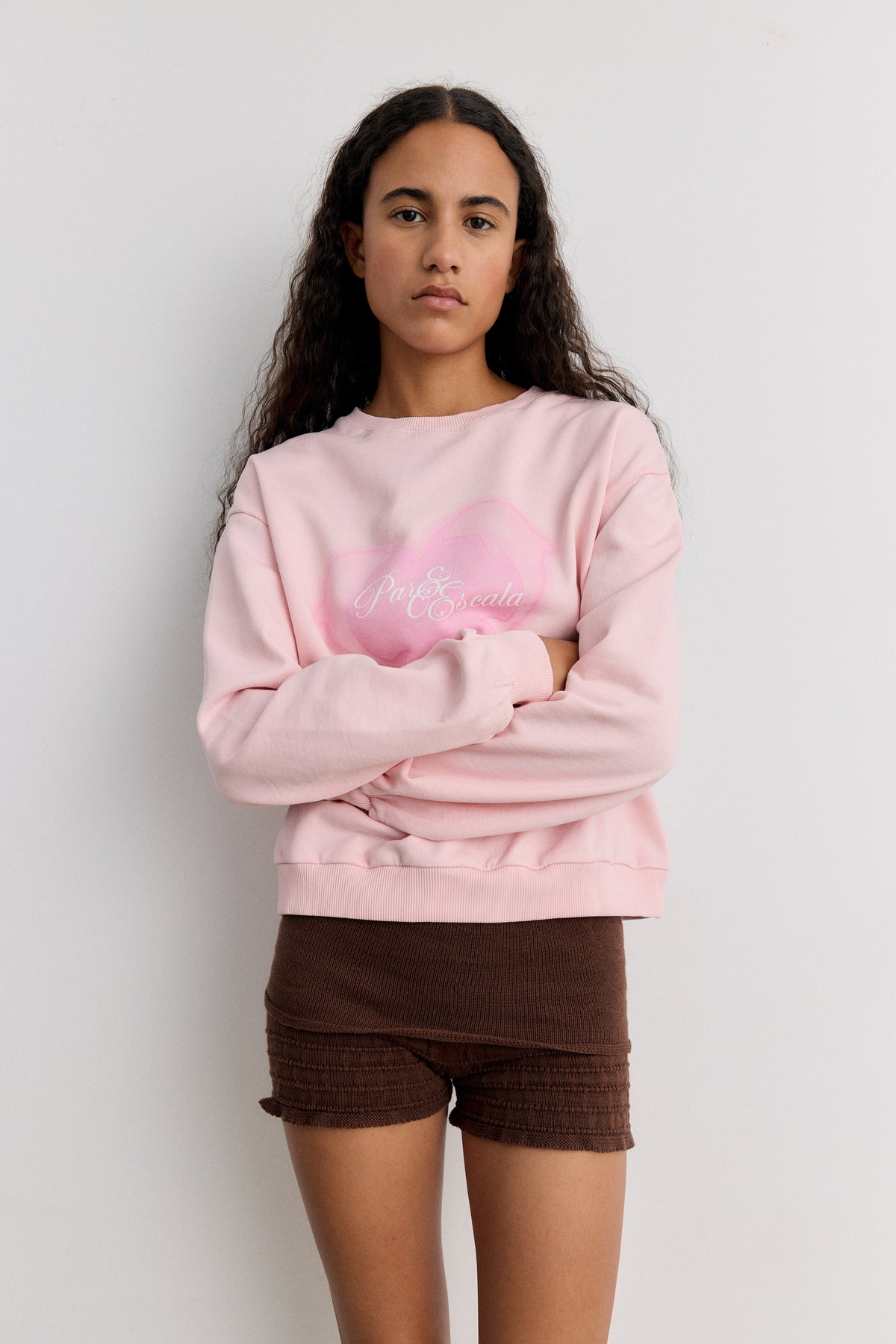 Dolphin Sweatshirt